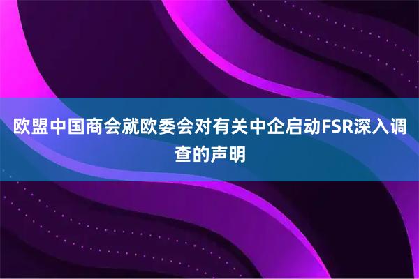 欧盟中国商会就欧委会对有关中企启动FSR深入调查的声明